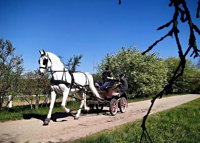 Villa House Of Relax